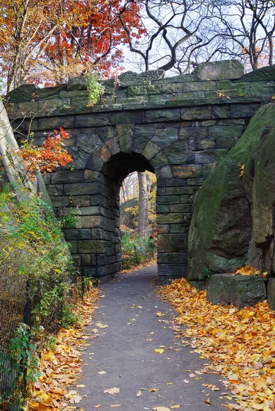 New York Şehri Manhattan Central Park