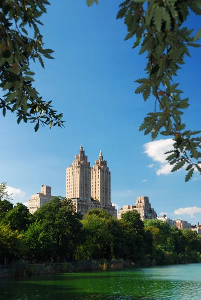 Central Park i New York — Stockfoto