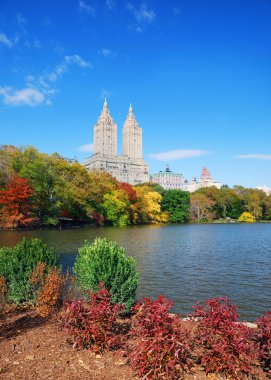 New York Şehri Manhattan Central Park