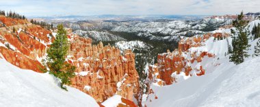 Kışın kar ile Bryce canyon.