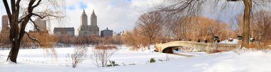 New York'un manhattan central park panorama kış