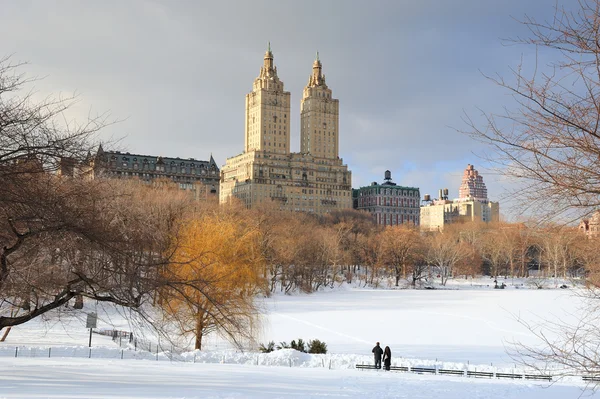 New Yorkban manhattan central park télen — Stock Fotó