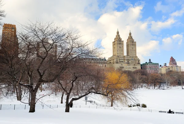 New Yorkban manhattan central park télen — Stock Fotó