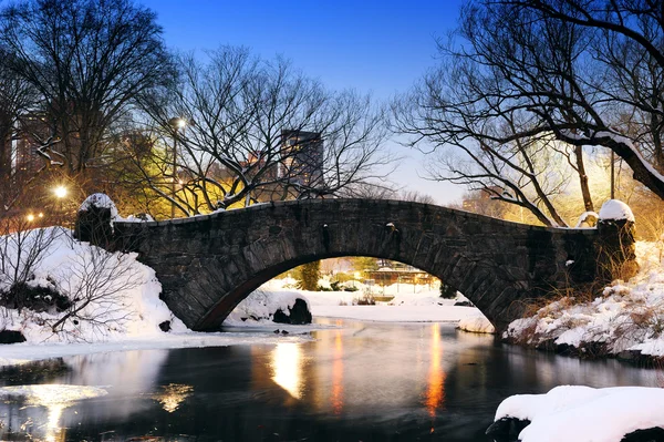 Мост Центрального парка Нью-Йорка зимой — стоковое фото