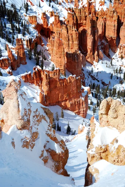 Bryce canyon med snö på vintern. — Stockfoto