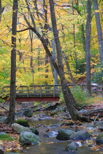 Puente de madera con bosque de otoño sobre arroyo — Foto de Stock