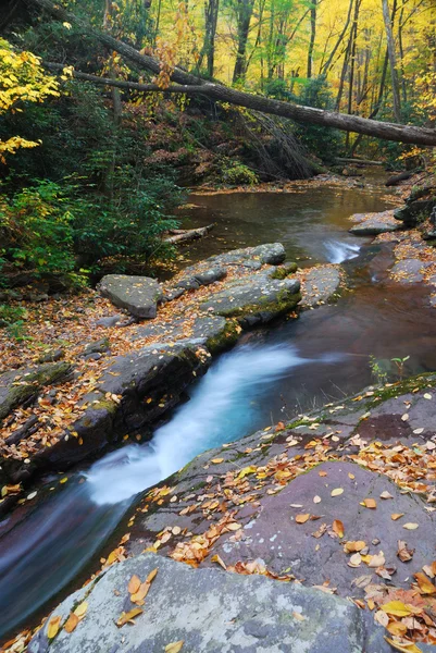 Ruisseau de montagne d'automne — Photo