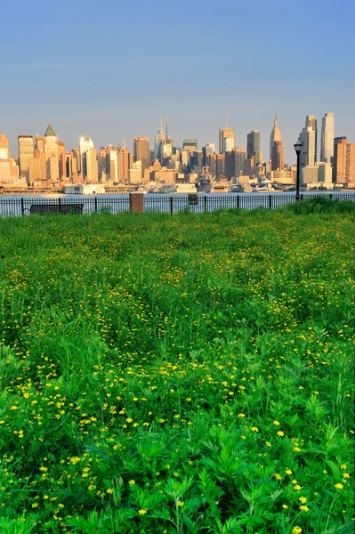 Manhattan Nowy Jork z trawnik — Zdjęcie stockowe