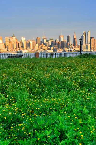 New York City Manhattan with lawn
