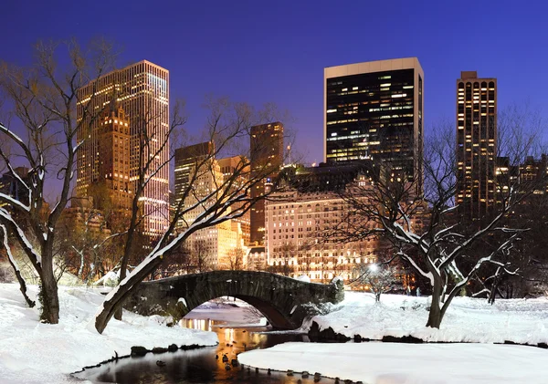 New york city manhattan central park panorama in de schemering — Stockfoto