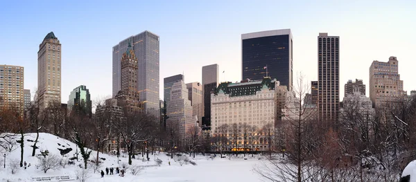 Nueva York Manhattan Central Park panorama — Foto de Stock
