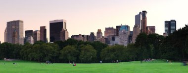 New York'taki central park alacakaranlıkta panorama adlı