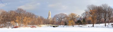 New York'un manhattan central Park'ta kış