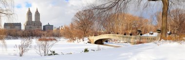 New York'un manhattan central park panorama kış