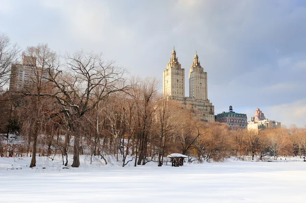 Nueva York Manhattan Central Park en invierno — Foto de Stock