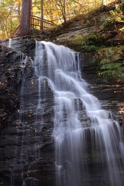 Jesień wodospad w góry z liści i lasy — Zdjęcie stockowe