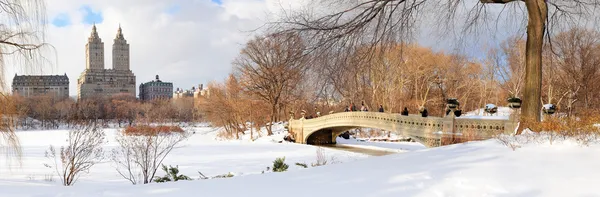 stock image New York City Manhattan Central Park panorama in winter