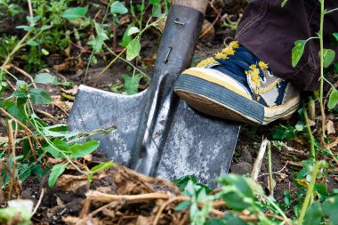 Shovel and gym shoes clipart