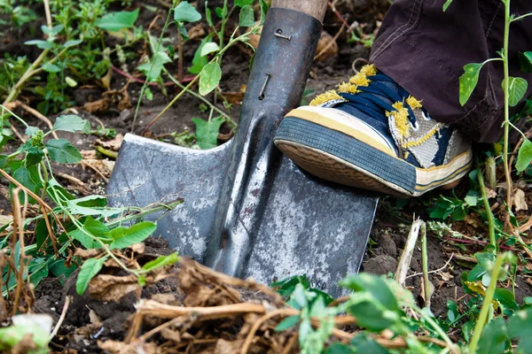 stock image Shovel and gym shoes