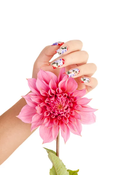 NAILS AND FLOWER — Stock Photo, Image