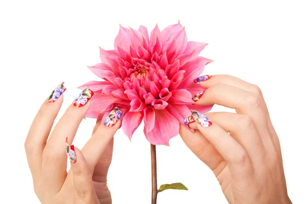 Nagels en bloem — Stockfoto
