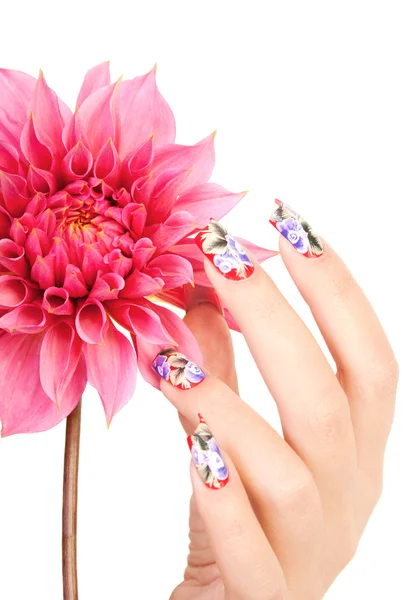 NAILS AND FLOWER — Stock Photo, Image