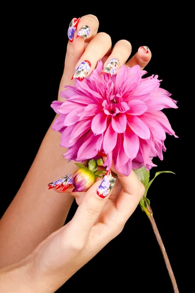 Nägel und Blume — Stockfoto