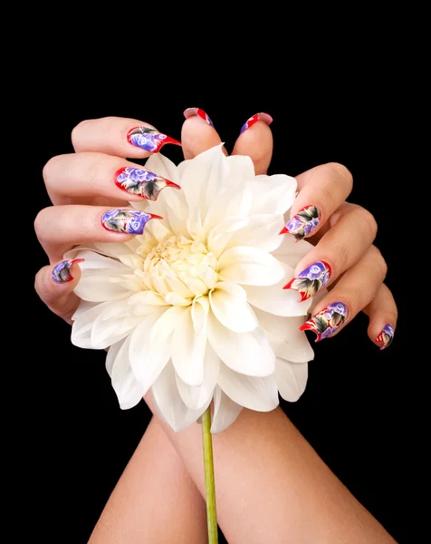 손톱과 꽃 로열티 프리 스톡 사진