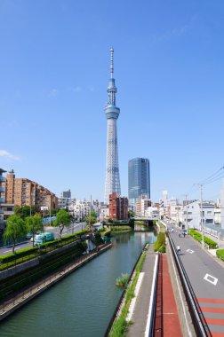 Tokyo Sky ağaç