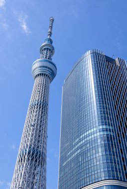 Tokyo Sky ağaç