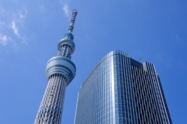 Tokyo Sky ağaç