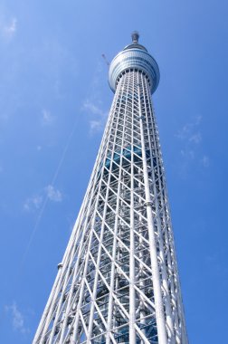 Tokyo Sky ağaç