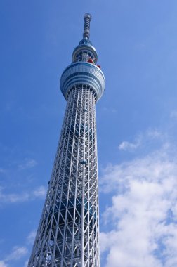 Tokyo Sky ağaç