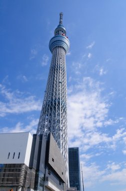 Tokyo Sky ağaç