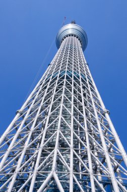 Tokyo Sky ağaç