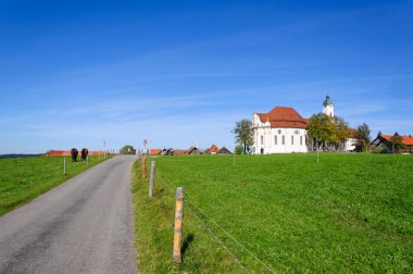 boerderij en koeien