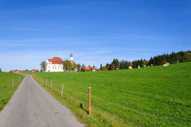 boerderij en koeien