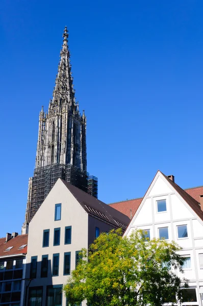 Ulmer Münster — Stockfoto