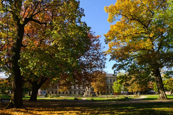 stock image Erlangen, Germany in Autumn