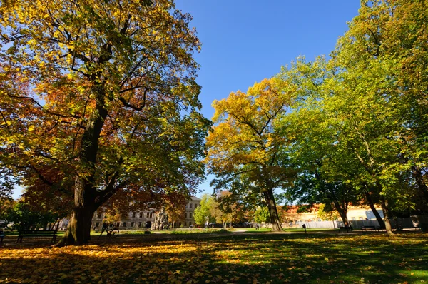 stock image Erlangen, Germany in Autumn