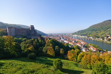Castle and the Old Town in Heidelberg, Germany clipart