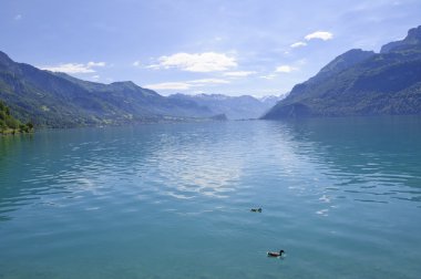 swizerland içinde brienz Gölü