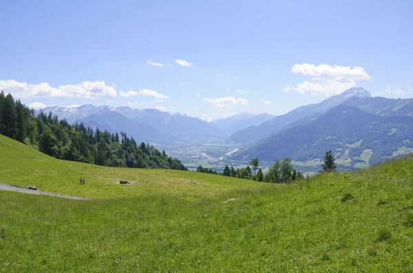 Łąka w maienfeld, Szwajcaria — Zdjęcie stockowe