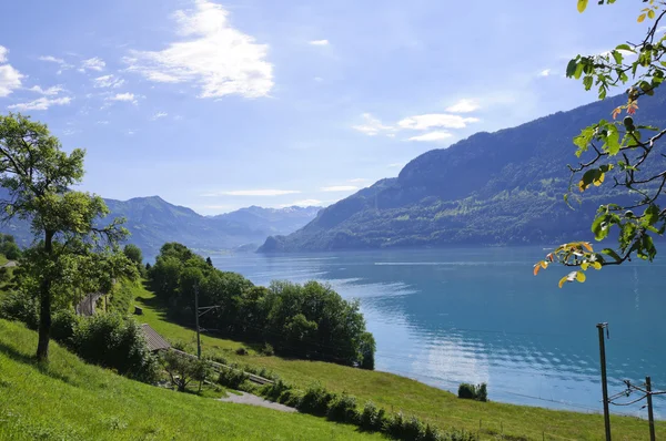 Λίμνη brienz στην Ελβετία — Φωτογραφία Αρχείου