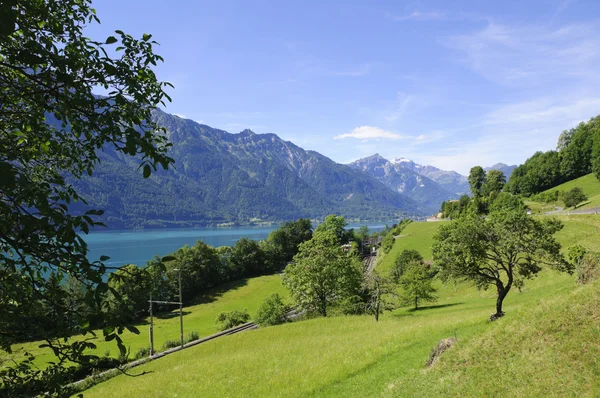 Jezero brienz a železnice do Švýcarska — Stock fotografie