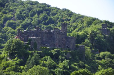 Burg Reichenstein