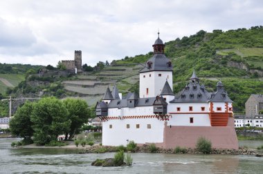 pfalzgrafenstein ve burg gutenfels