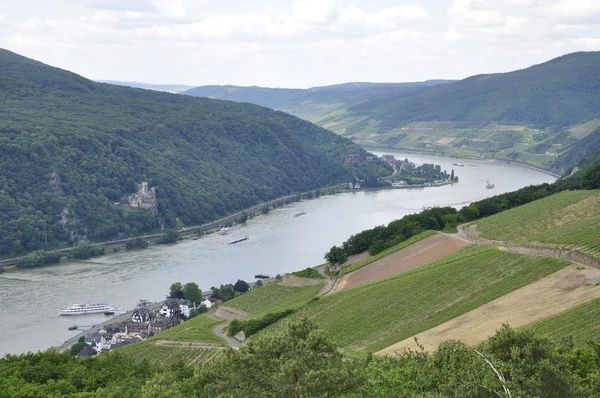 Haute vallée du Rhin moyen — Photo