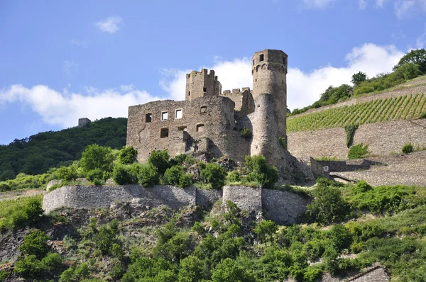 Ehrenfels Castle — Stock Photo, Image