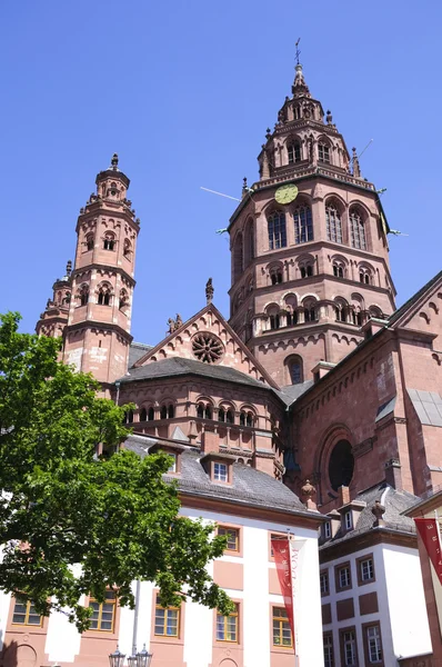 Mainz katedrali — Stok fotoğraf